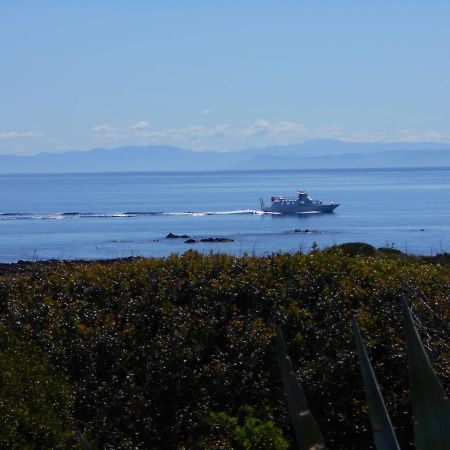 Le Case Punta Negra Stintino Exteriör bild