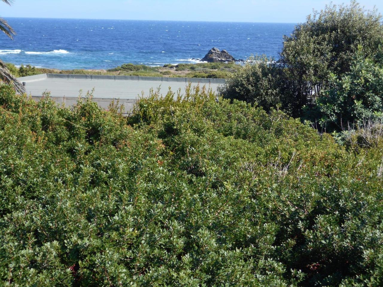 Le Case Punta Negra Stintino Exteriör bild