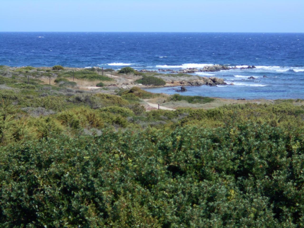 Le Case Punta Negra Stintino Exteriör bild